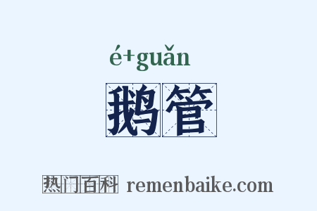 鹅管是什么意思的图片